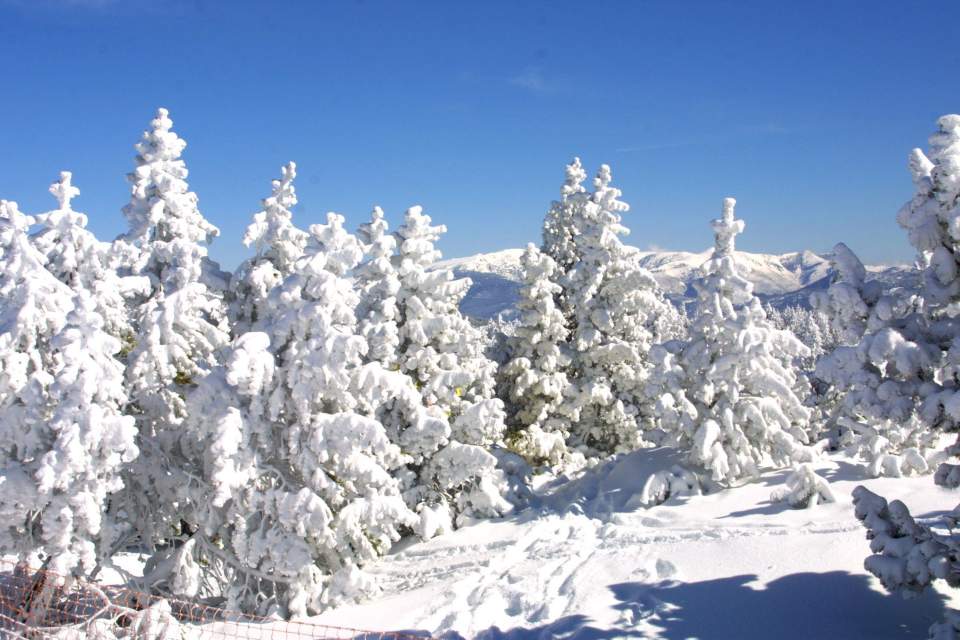 Séjour Ski Font Romeu · Hôtel Le Grand Tetras · Pyrénées 2000